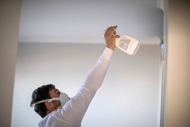 Best Attic Mold Removal  in South Pittsburg, TN