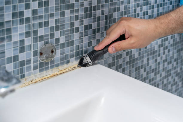 Best Home Mold Removal  in South Pittsburg, TN